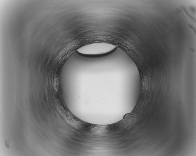 X0000103300138200808291139