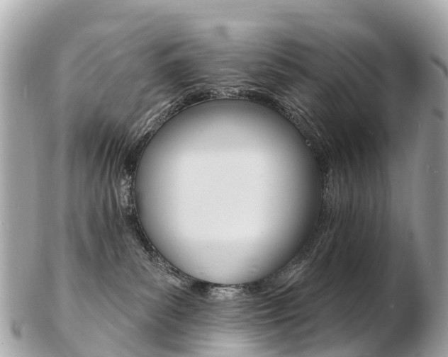 X0000103300139200808291139