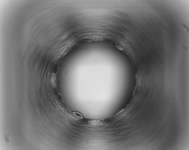 X0000103300141200808291139