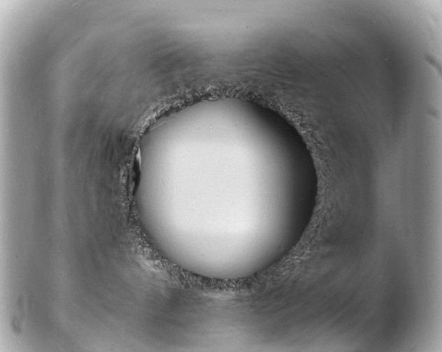 X0000103300144200808291139