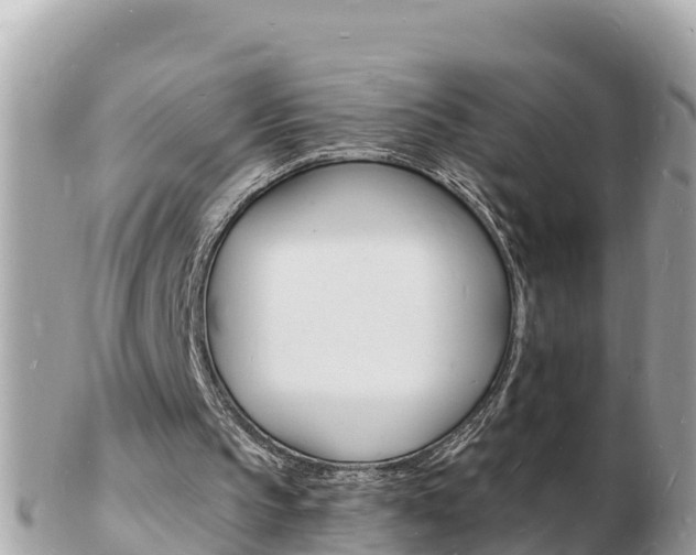 X0000103300145200808291138