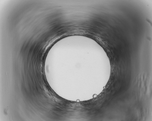 X0000103300146200808291138