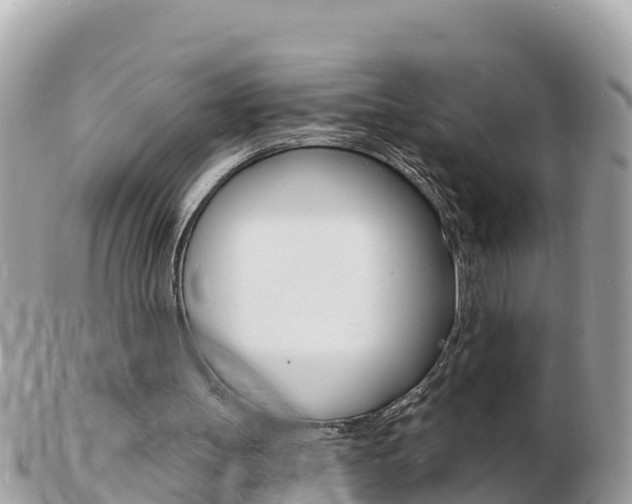 X0000103300147200808291138