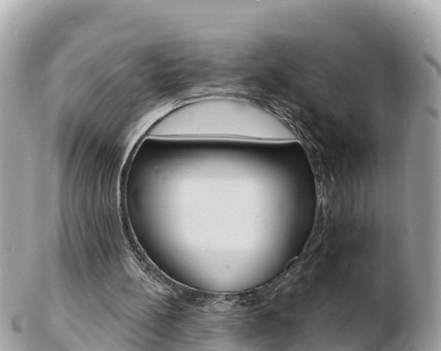 X0000103300148200808291138
