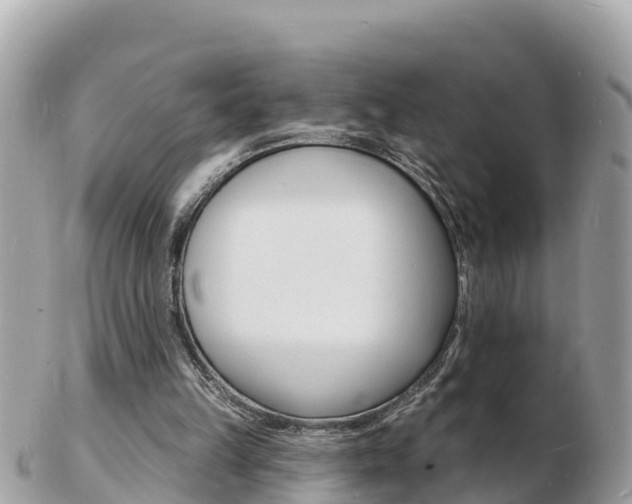 X0000103300149200808291138