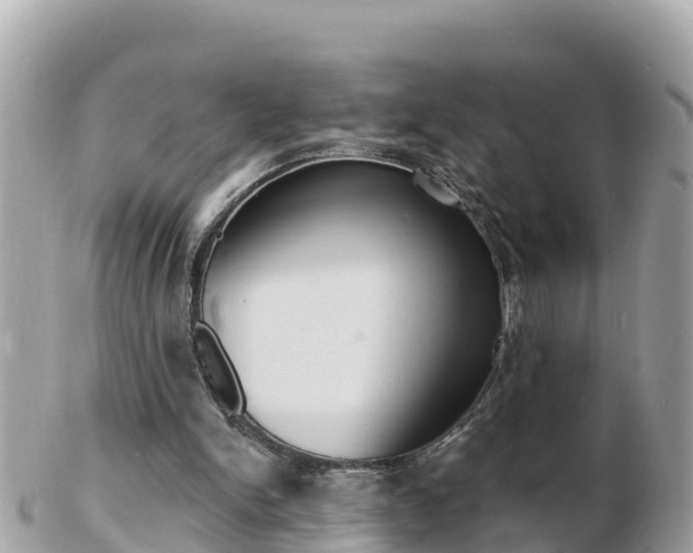 X0000103300150200808291138