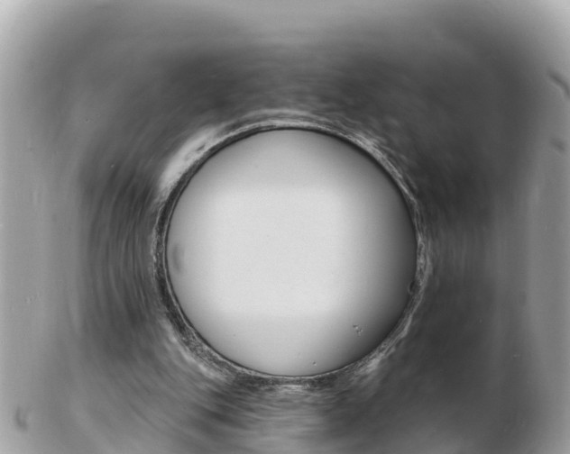 X0000103300151200808291138