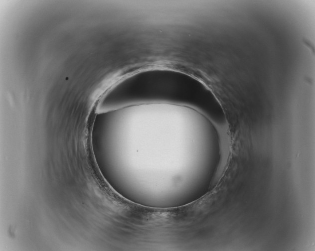 X0000103300152200808291138