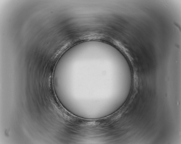 X0000103300153200808291138