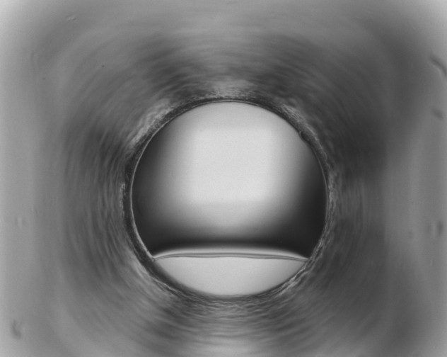 X0000103300154200808291138
