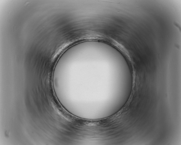 X0000103300155200808291138