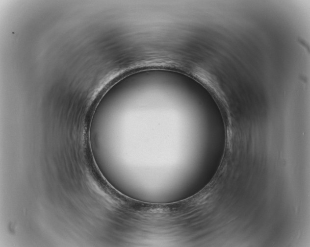 X0000103300156200808291138