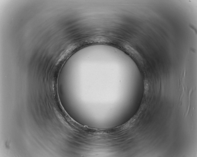 X0000103300158200808291138