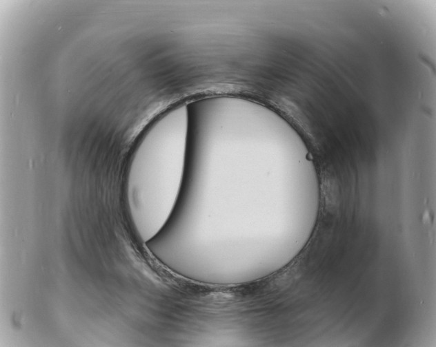X0000103300159200808291138