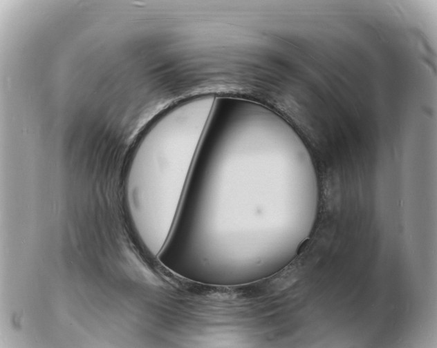 X0000103300160200808291138