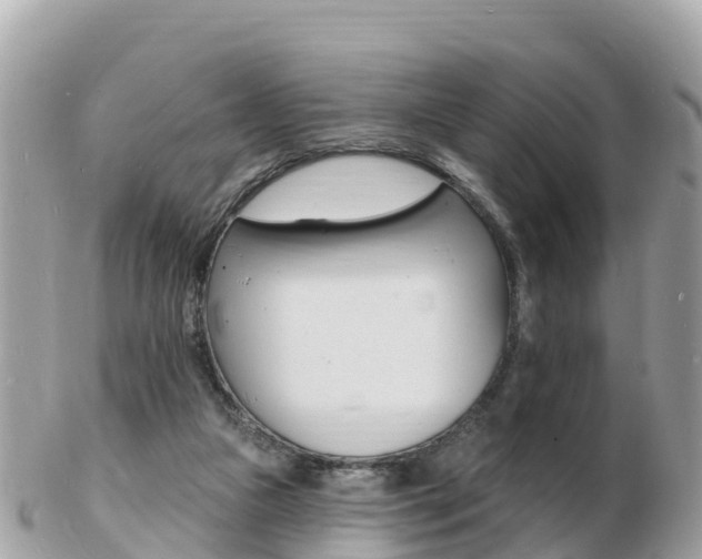 X0000103300161200808291138