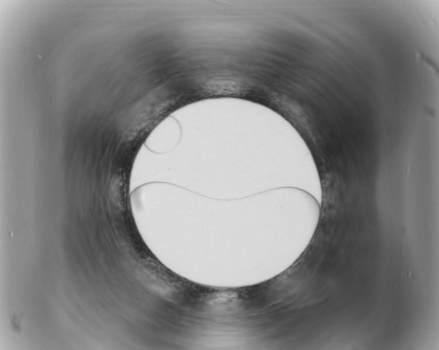 X0000103300162200808291138