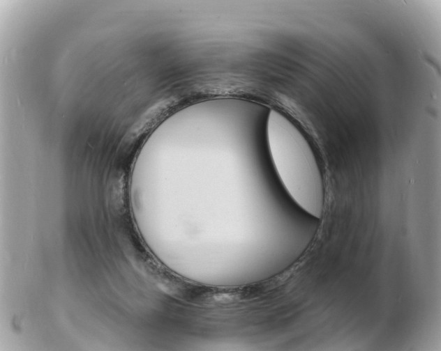 X0000103300163200808291138