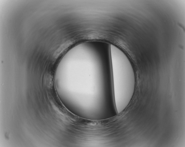 X0000103300164200808291138