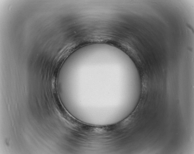 X0000103300166200808291138