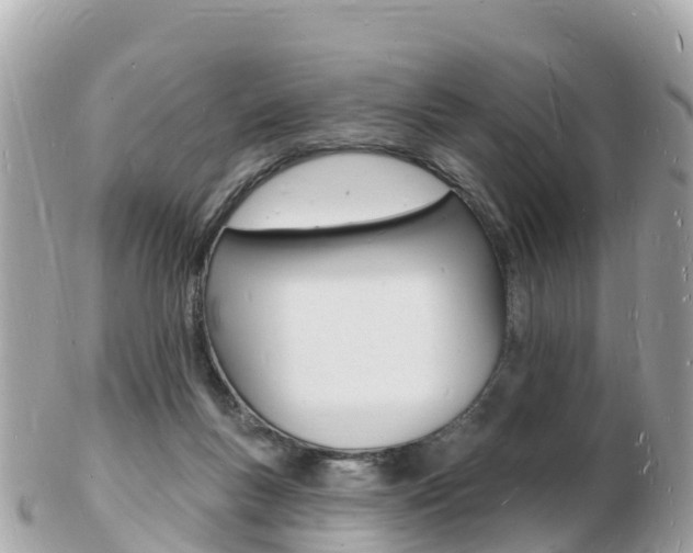 X0000103300167200808291138