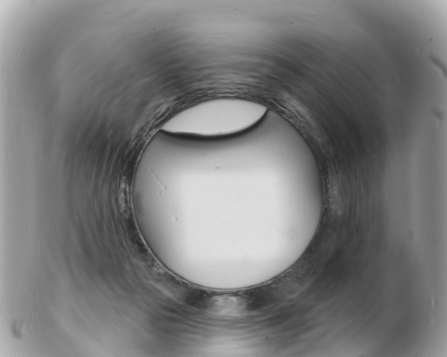X0000103300169200808291138