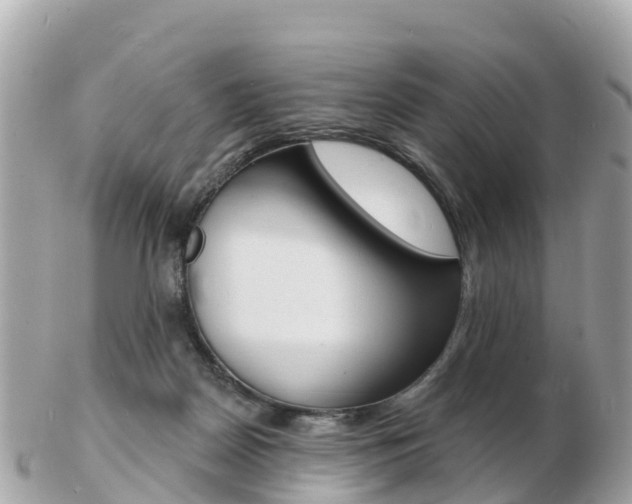 X0000103300170200808291138