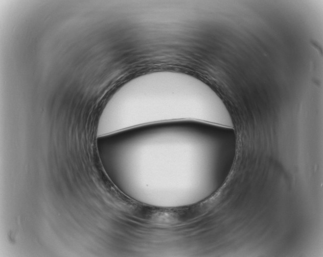 X0000103300174200808291139