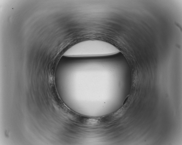 X0000103300176200808291139