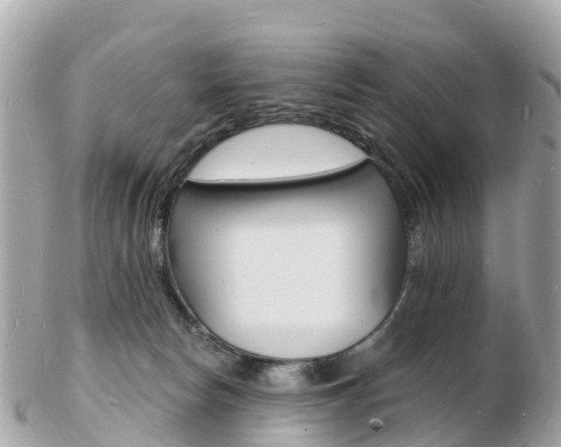 X0000103300178200808291139