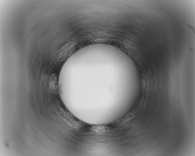 X0000103300181200808291139
