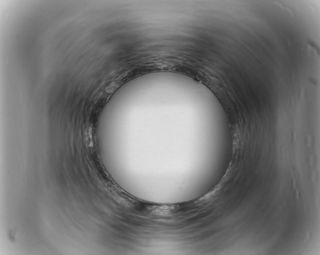 X0000103300182200808291139