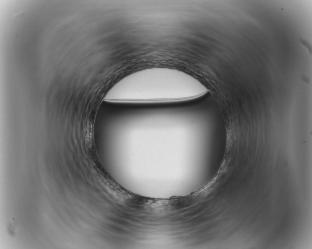 X0000103300186200808291139