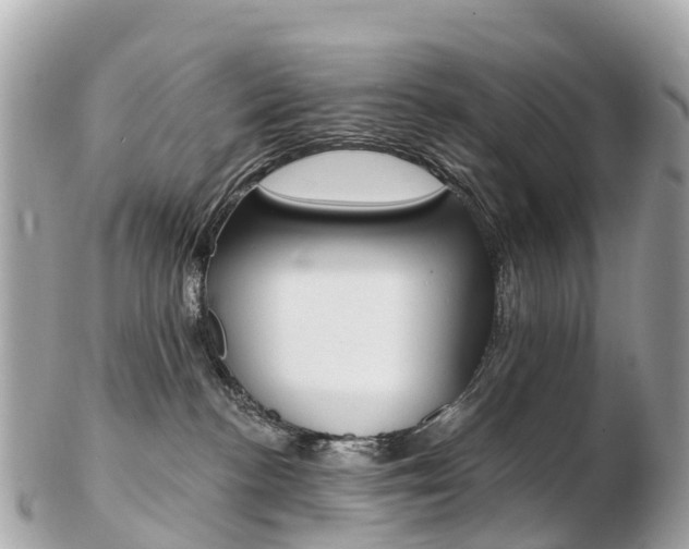 X0000103300188200808291139