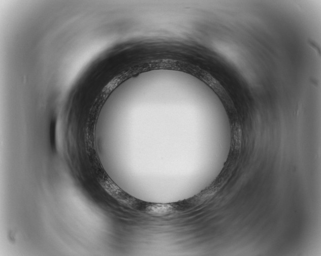 X0000103300189200808291139