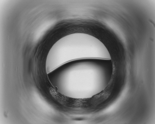 X0000103300190200808291139