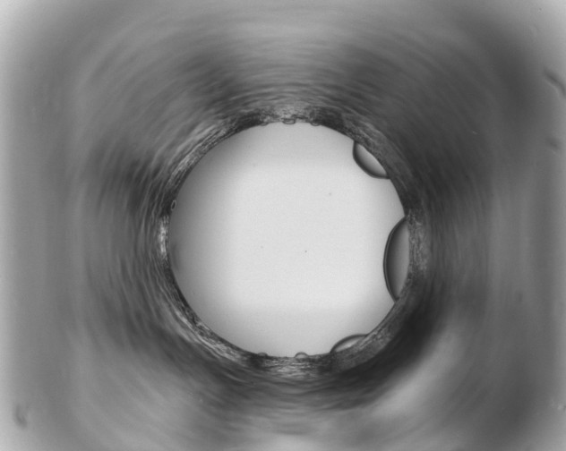 X0000103300191200808291139