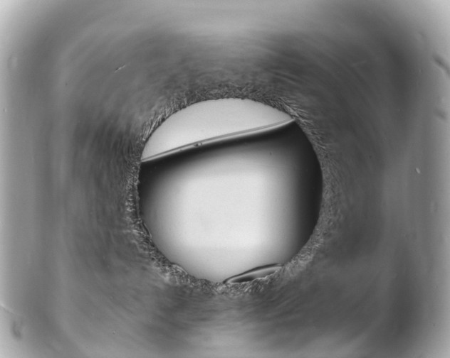 X0000103300192200808291139