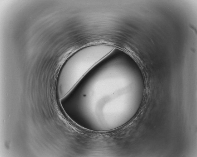 X0000103300193200808291138