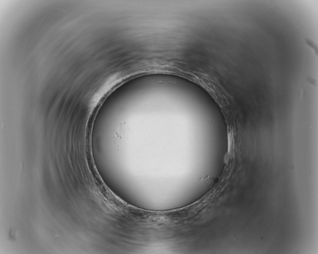 X0000103300195200808291138