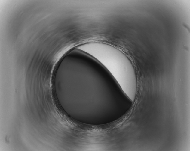 X0000103300196200808291138