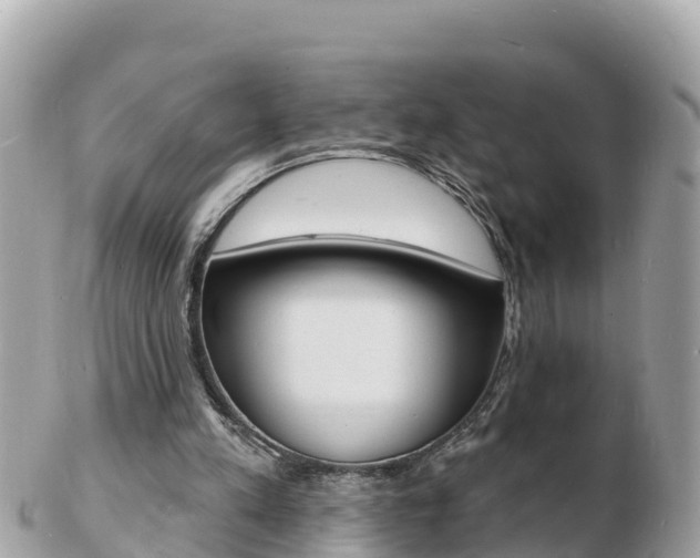 X0000103300197200808291138