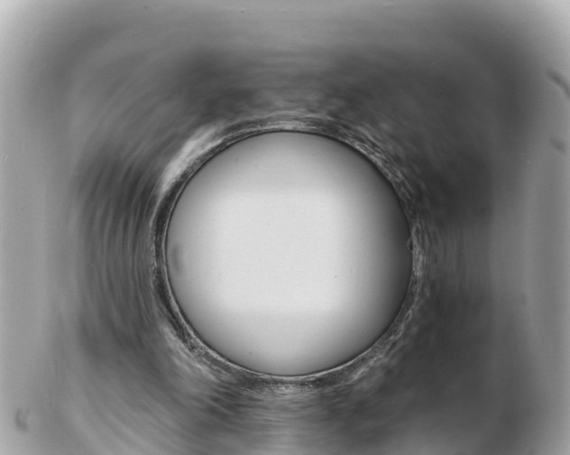X0000103300198200808291138