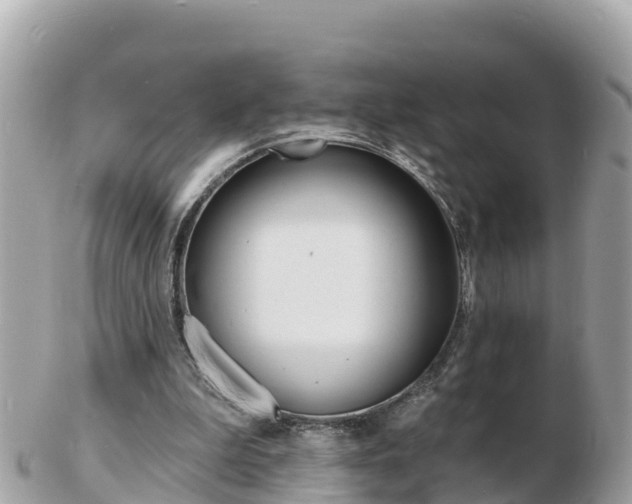 X0000103300199200808291138