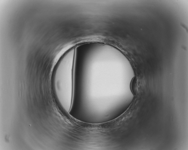 X0000103300200200808291138