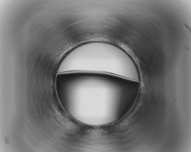 X0000103300201200808291138
