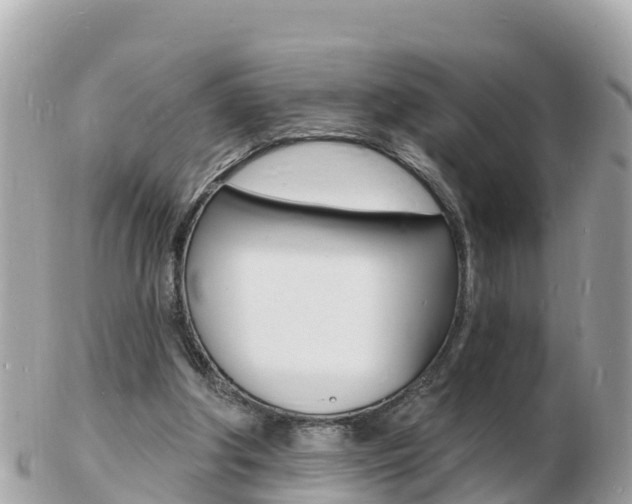 X0000103300202200808291138