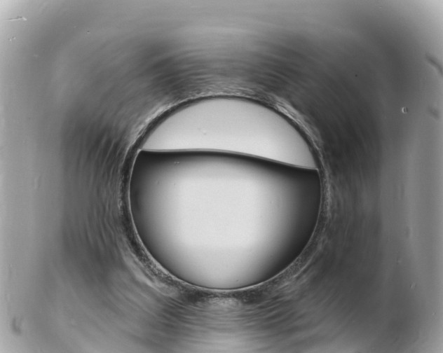 X0000103300203200808291138
