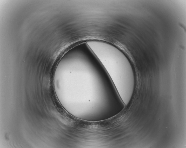 X0000103300204200808291138