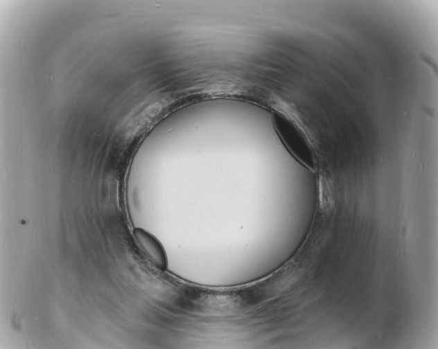 X0000103300205200808291138